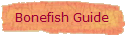 Bonefish Guide