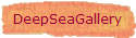 DeepSeaGallery