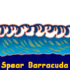 Spear Barracuda